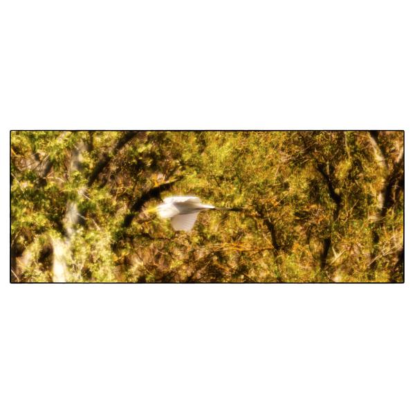 PHOTO84, CLUB, 84 , LUBERON